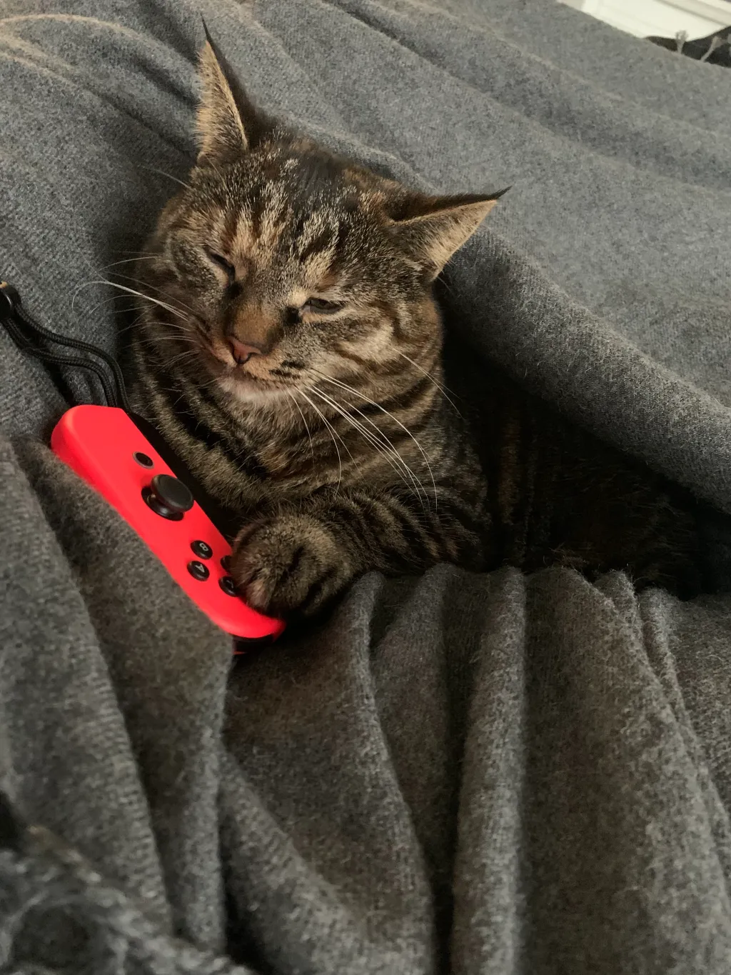 Miso har spillet Mario Kart med familien