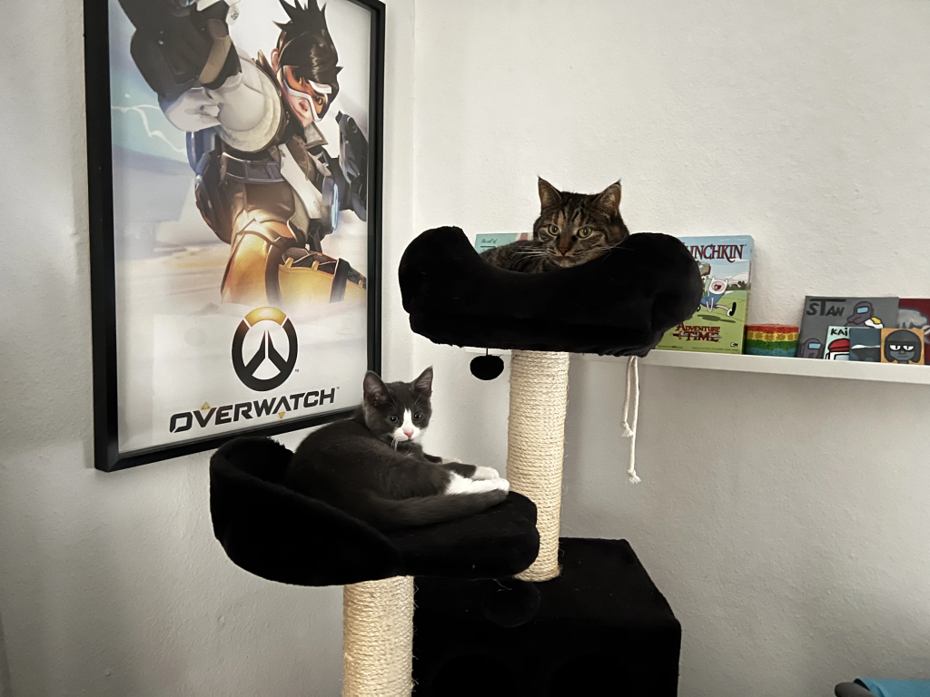 Tor og miso er også venner